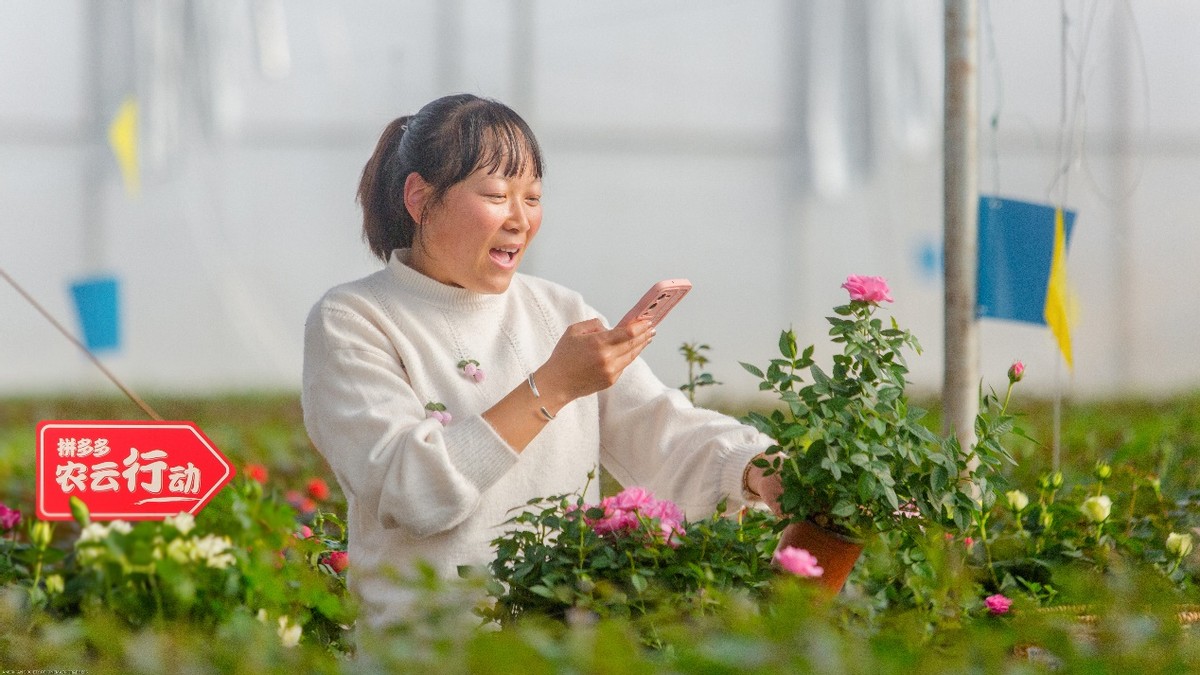 老虎機：拼多多2022年研發費用破百億，重投辳業科技，滿足用戶品質需求